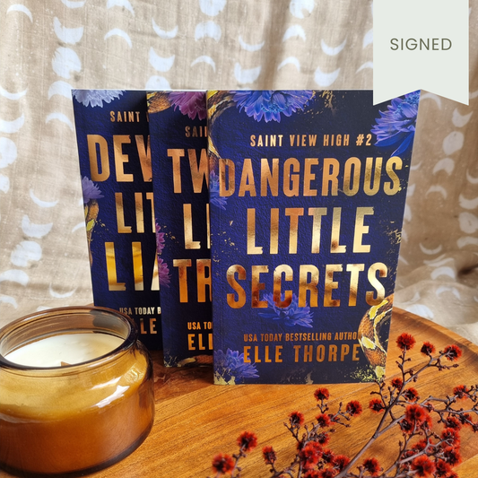 Dangerous Little Secrets (Saint View High #2)