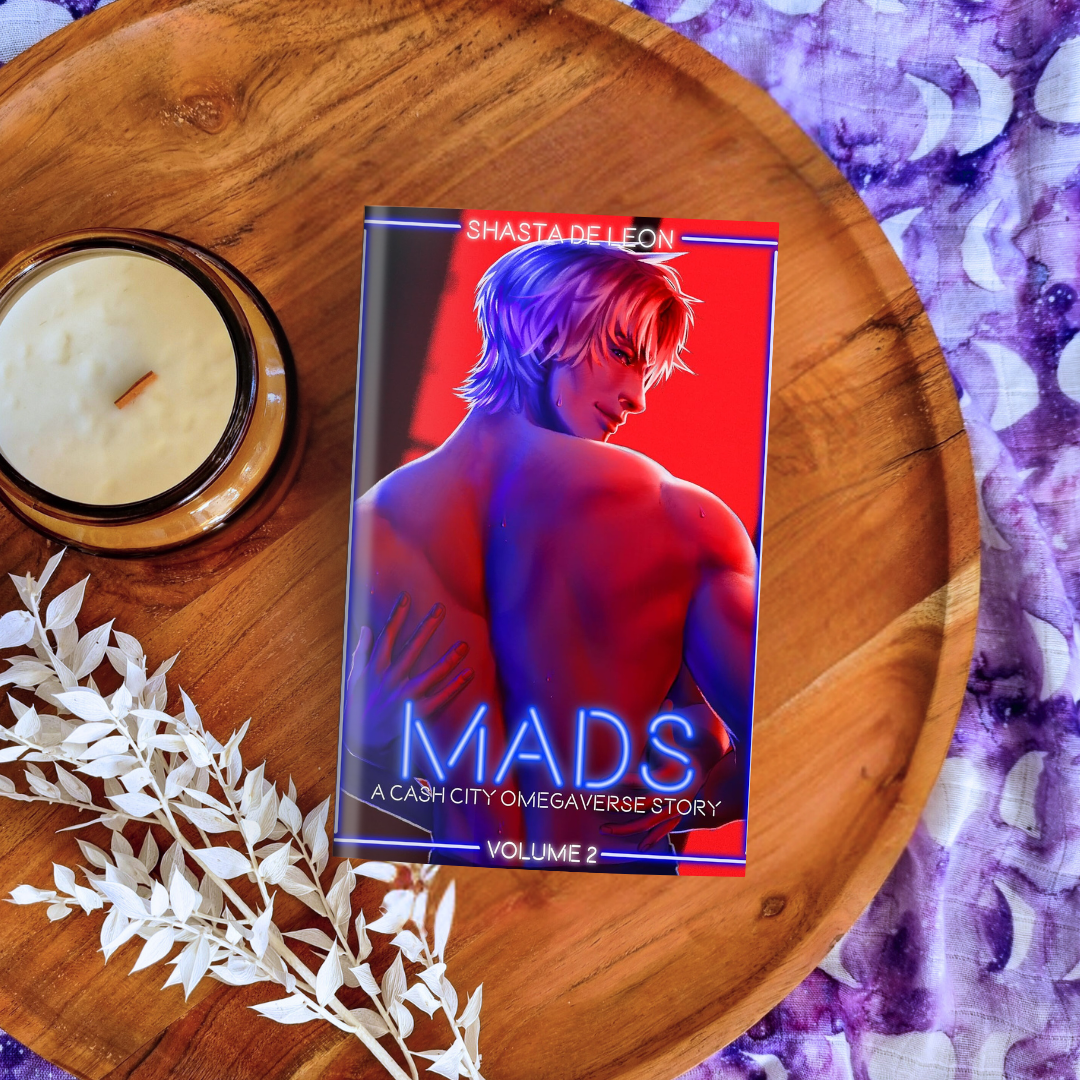 Mads: Vol 2 (Cash City #4)