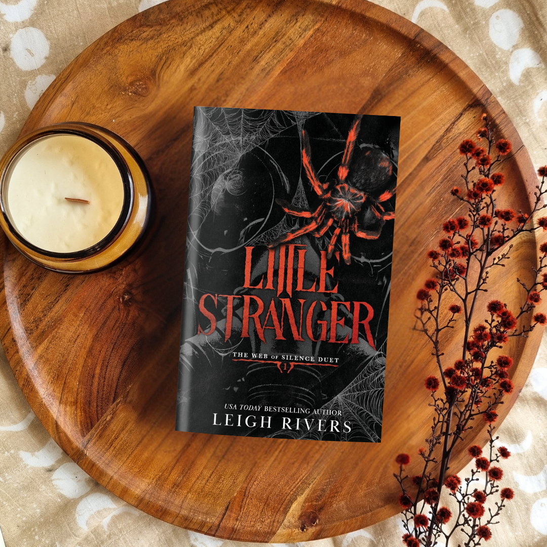 Little Stranger (Web of Silence #1)