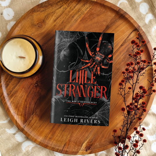 Little Stranger (Web of Silence #1)