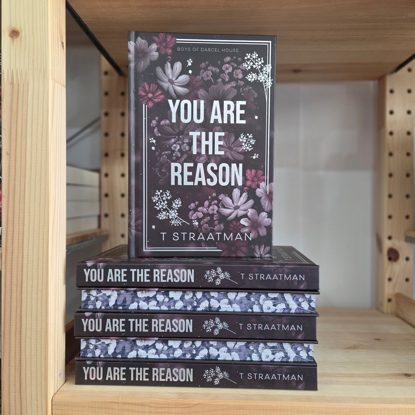 You Are The Reason (Boys of Darcel House #1)